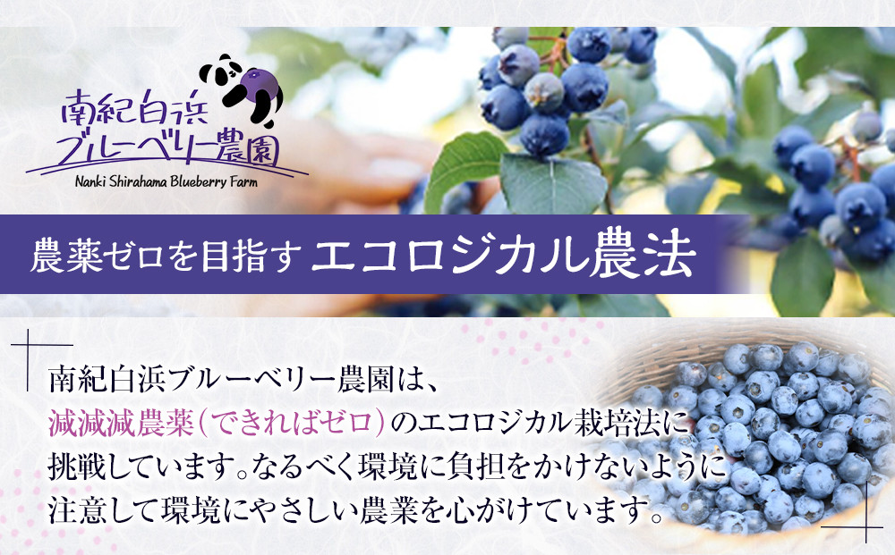 南紀白浜産ブルーベリー 約400g