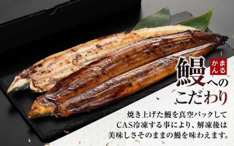 特大うなぎ蒲焼き、特大うなぎ白焼き　各1本セット（タレ・山椒付き）（合計：300～400ｇ)