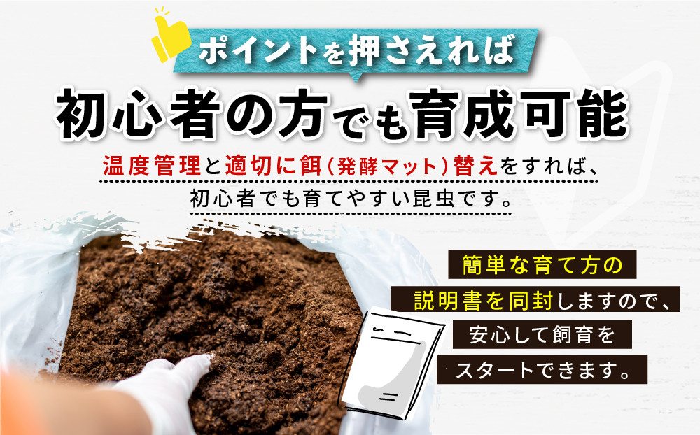 ãå
è¡äºçŽããã©ã¯ã¬ã¹ãªãªã«ãã3什幌è«ã㢠â»è²ãŠæ¹ã®èª¬ææžä»ãâ»é
éäžå¯å°åããã2026幎6æããé æ¬¡çºéã
