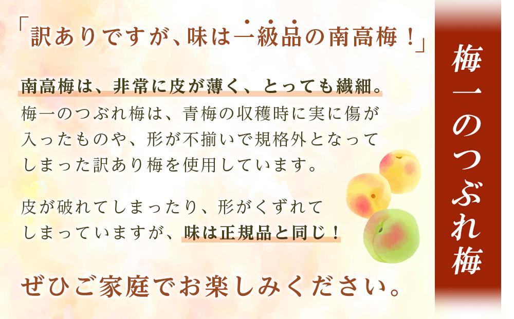 紀州南高梅《つぶれ梅セット》しそ漬け梅 塩分3%(800g)【白浜グルメ市場】