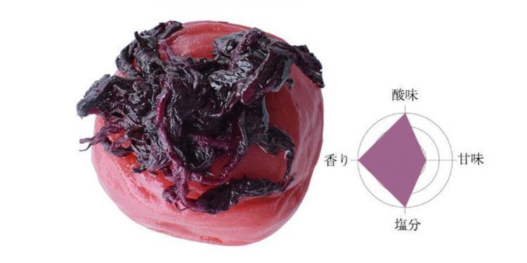 紀州南高梅　昔ながらの酸っぱい梅干 しそ漬250g（塩分約18％）×4パック