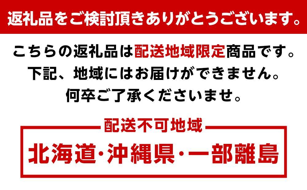 南紀白浜産ブルーベリー 約800g 大容量