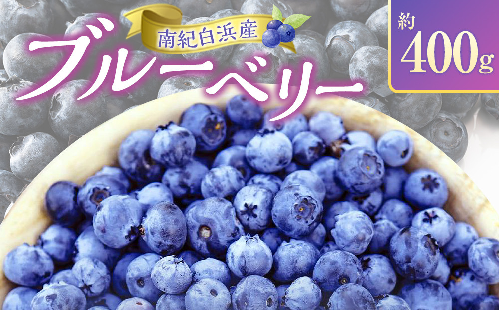 南紀白浜産ブルーベリー 約400g