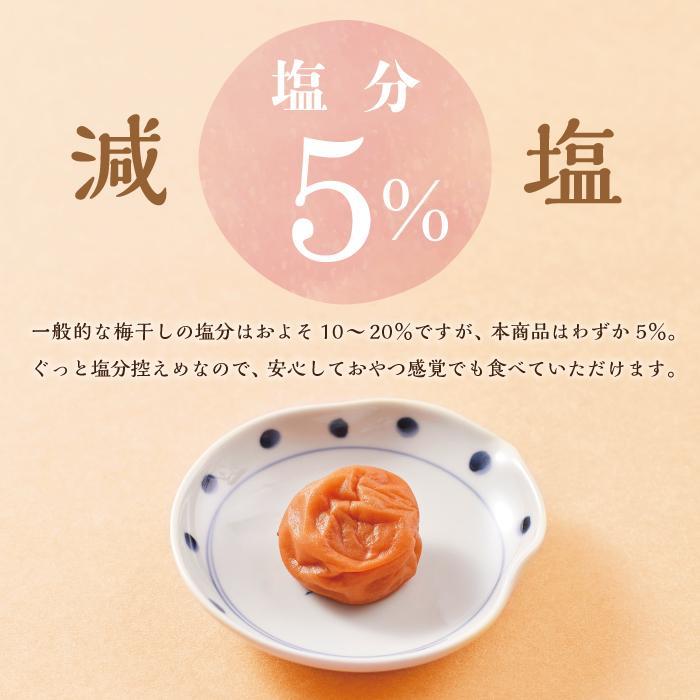 紀州南高梅 訳あり はちみつ梅 塩分5％ 1.2kg（300g×4パック）和歌山県産 うめぼし 梅干し 梅 送料無料 ふるさと納税 はちみつ ハチミツ 減塩 つぶれ梅 梅干 訳アリ わけあり セット お取り寄せ ご当地グルメ 和歌山県 白浜町