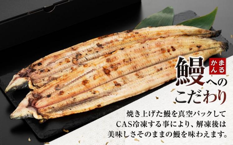 特大うなぎ白焼き2本セット（合計：300～400ｇ)