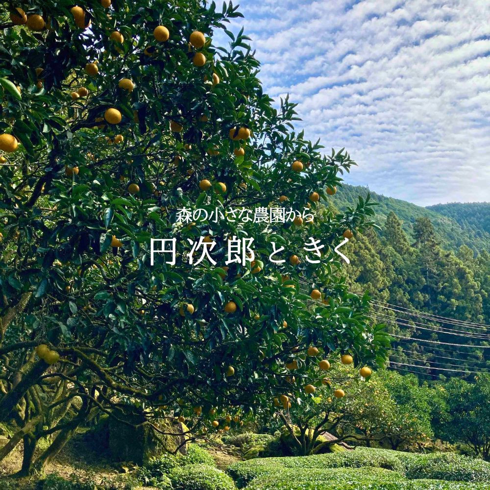 和歌山県産 手作り 八朔＆甘夏 ジャム食べ比べセット〈保存料・ペクチン・着色料・香料不使用〉円次郎ときく