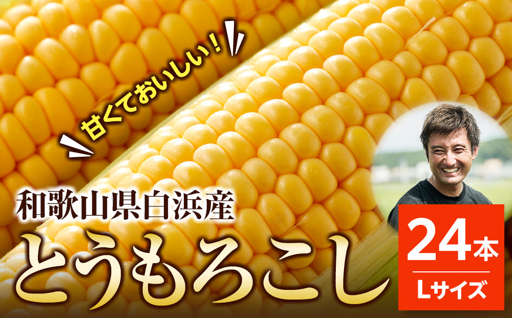 ［先行予約］しらはま農家 とうもろこし Lサイズ24本 ［2026年6月発送予定］