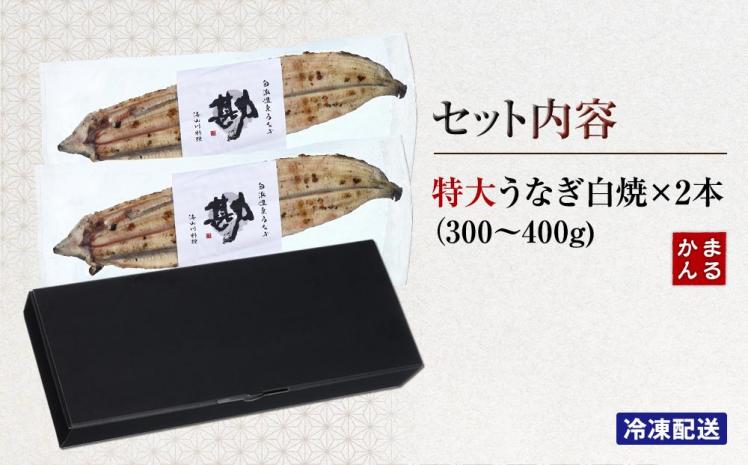 特大うなぎ白焼き2本セット（合計：300～400ｇ)