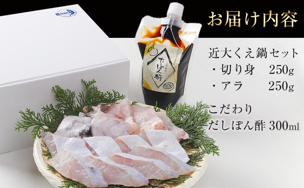 近大くえ鍋セット ( 500g ）こだわりだしぽん酢付き【2025年1月下旬～2月上旬発送】