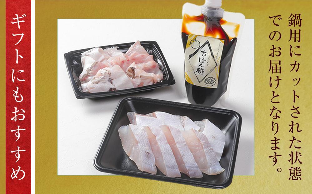 近大クエ鍋セット ( 500g ）こだわりだしぽん酢付き【2026年2月上旬～中旬発送】