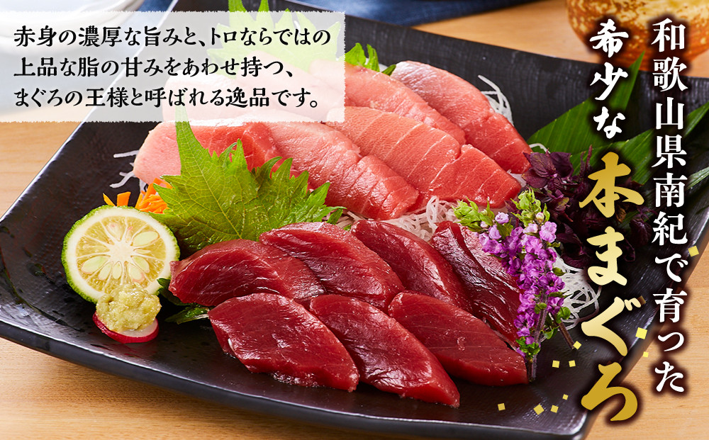 譛ャ繝槭げ繝ュシ磯、頑ョ厄シ峨ヨ繝ュシ襍、霄ォ繧サ繝繝 1kgシサKS13シス