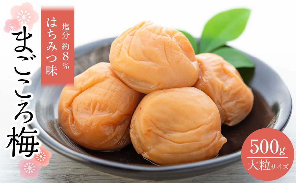極上 紀州南高梅 まごころ梅 はちみつ 梅干し 3L サイズ以上 500g 塩分 約8％ 化粧箱入り