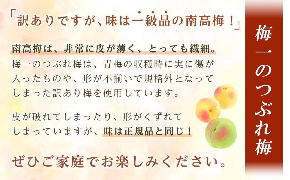 紀州南高梅《つぶれ梅セット》しそ漬け梅 塩分3% 1.8kg (300g×6）