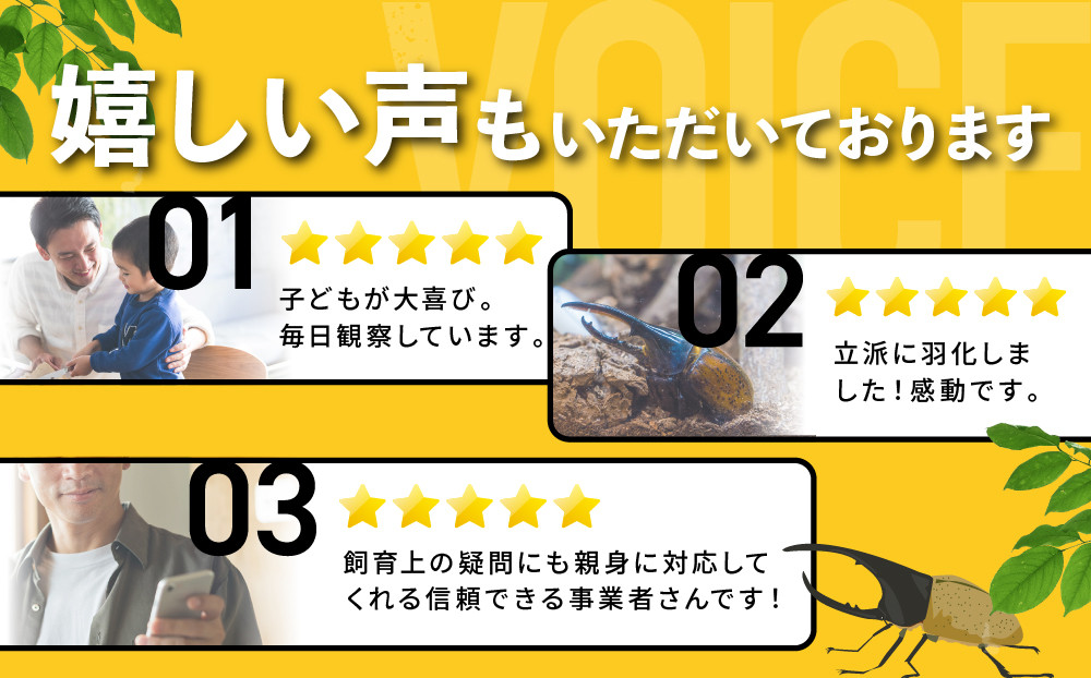 ãå
è¡äºçŽããã©ã¯ã¬ã¹ãªãªã«ãã3什幌è«ã㢠â»è²ãŠæ¹ã®èª¬ææžä»ãâ»é
éäžå¯å°åããã2026幎6æããé æ¬¡çºéã