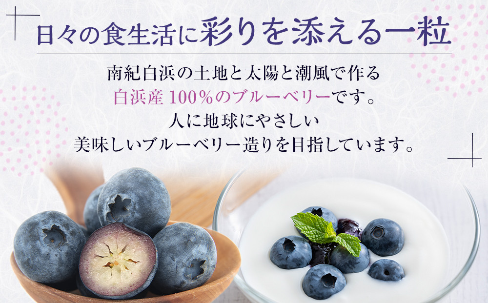 南紀白浜産ブルーベリー 約400g