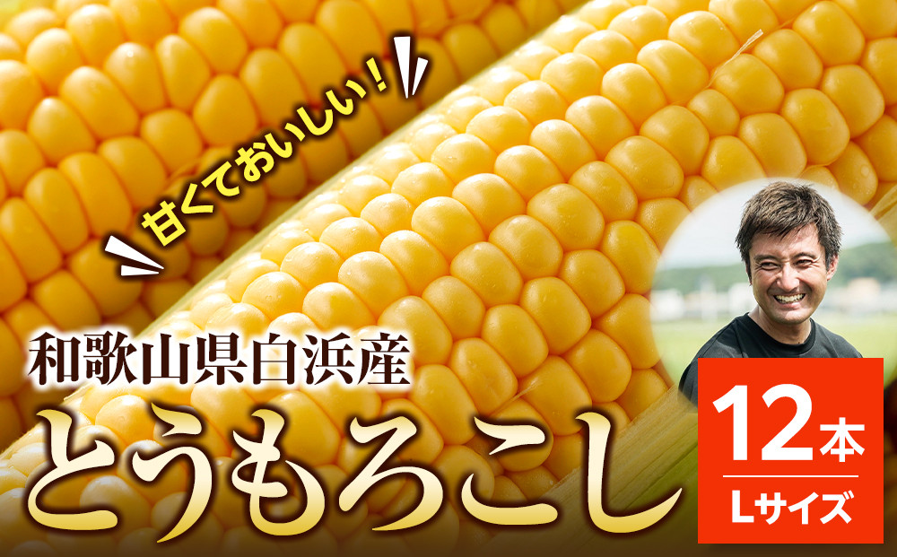 ［先行予約］しらはま農家 とうもろこし Lサイズ 12本 ［2026年6月発送予定］