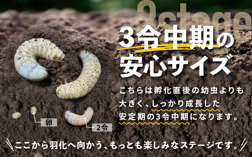 ãå
è¡äºçŽããã©ã¯ã¬ã¹ãªãªã«ãã3什幌è«ã㢠â»è²ãŠæ¹ã®èª¬ææžä»ãâ»é
éäžå¯å°åããã2026幎6æããé æ¬¡çºéã