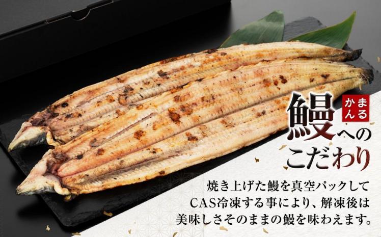 うなぎ白焼き2本セット（合計：250～300ｇ)