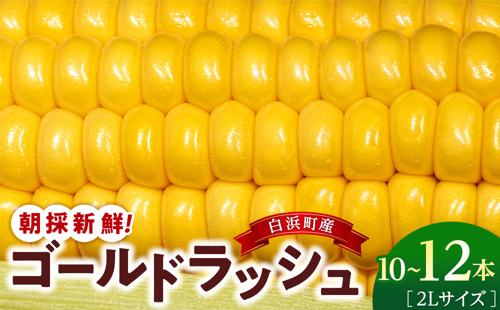 朝採 新鮮 白浜町産 ゴールドラッシュ とうもろこし 2Lサイズ 10～12本 はたごや農園