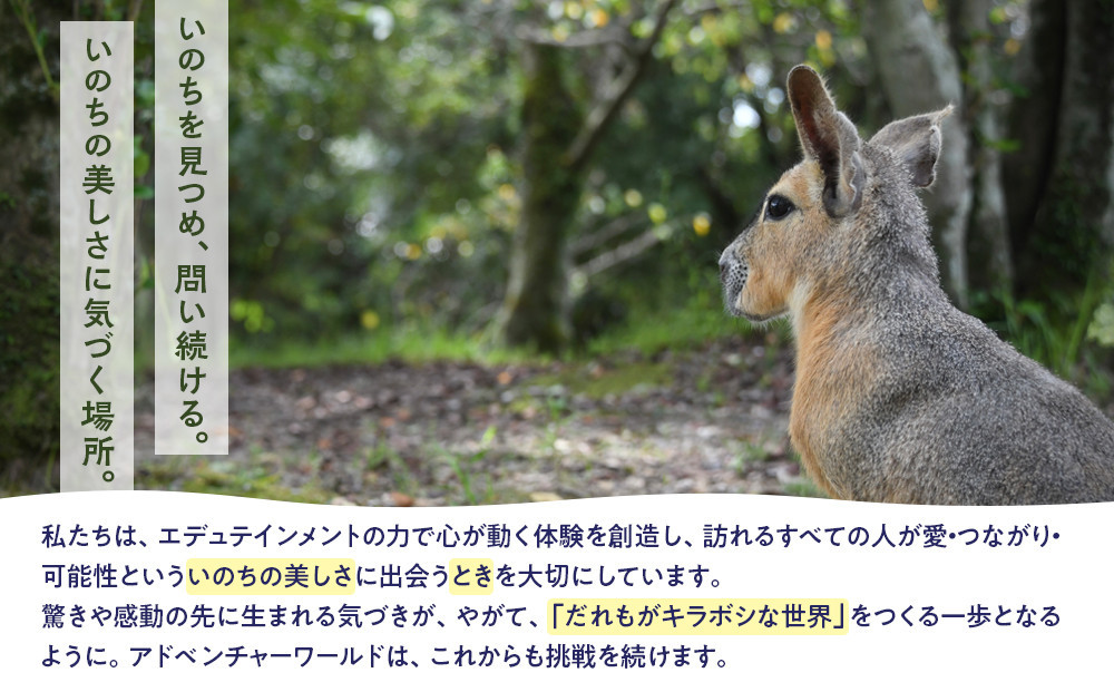 白浜町ふるさと納税 アドベンチャーワールド入園引換券 大人・子ども ペアチケット