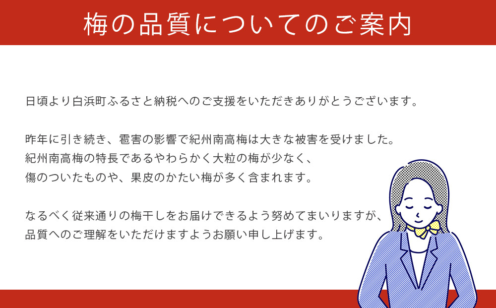 紀州南高梅《つぶれ梅セット》はちみつ梅 塩分8% 600g (300g×2）