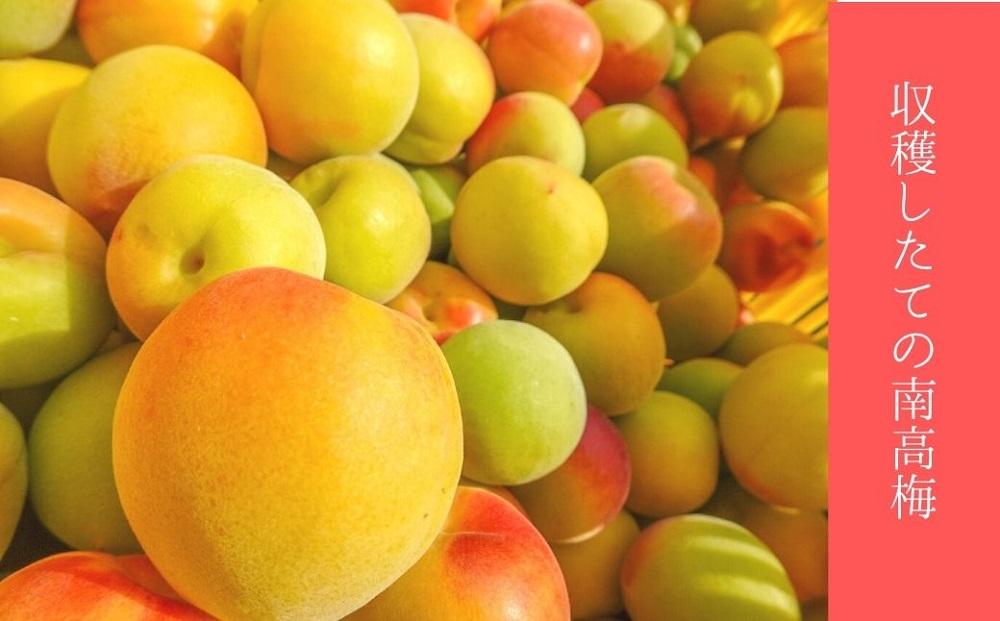 無添加　白干梅　(2L〜3Lサイズ、800g）紀州南高梅　【梅農家厳選　手づくり梅干】