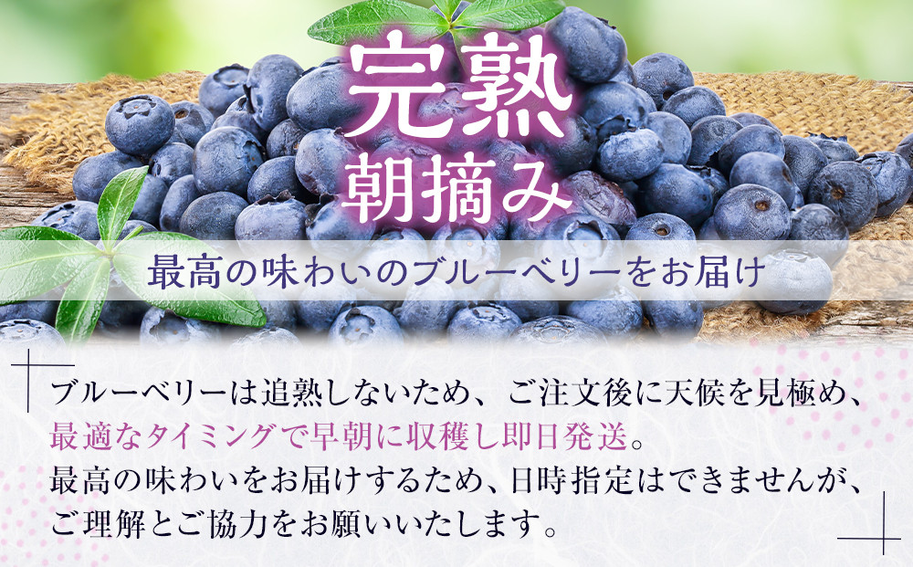 南紀白浜産ブルーベリー 約400g