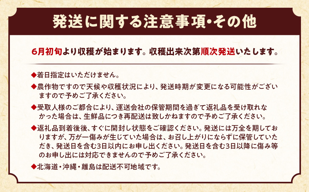 朝採 新鮮 白浜町産 ホワイトコーン とうもろこし 2Lサイズ 10～12本 はたごや農園