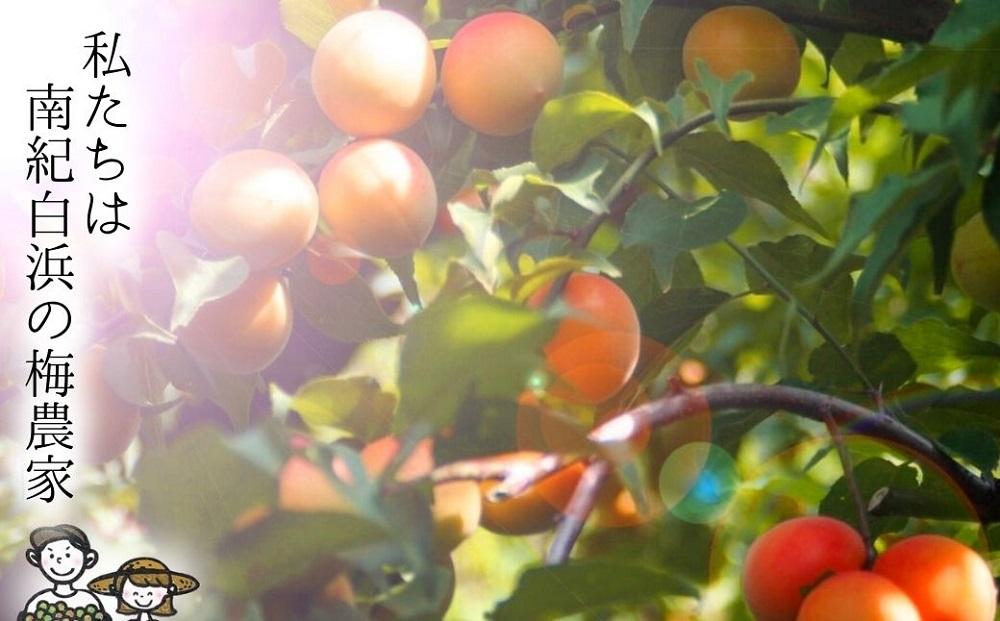 無添加　白干梅　(2L〜3Lサイズ、800g）紀州南高梅　【梅農家厳選　手づくり梅干】