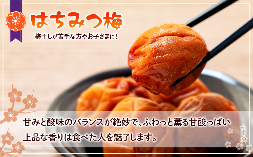 訳あり つぶれ 梅干し 500g×6パック 合計3kg はちみつ 塩分 約5％［TR1w］