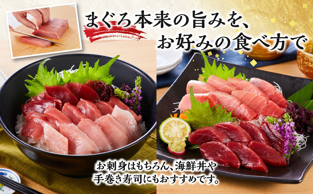 本マグロ（養殖）トロ＆赤身セット 240g［KS11］