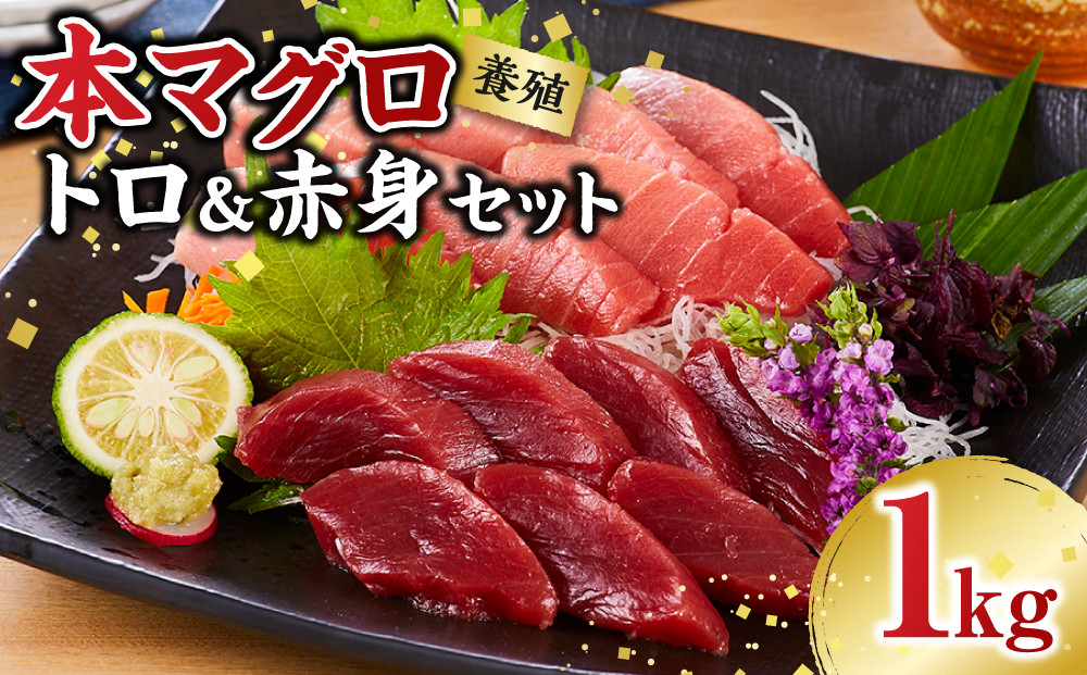 本マグロ（養殖）トロ＆赤身セット 1kg［KS13］