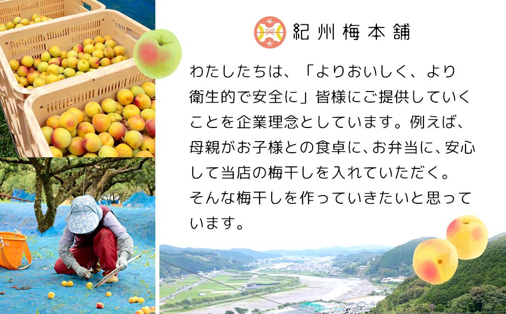 紀州南高梅 塩分約2.7% 特大粒 訳ありつぶれ梅 はちみつ梅 400g×3個 1.2kg 減塩梅干し 紀州梅本舗【特大粒 つぶれ梅 南高梅 ワケあり 梅干し お漬物 和歌山県 白浜町】