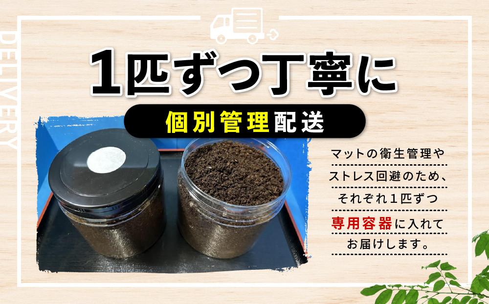 ãå
è¡äºçŽããã©ã¯ã¬ã¹ãªãªã«ãã3什幌è«ã㢠â»è²ãŠæ¹ã®èª¬ææžä»ãâ»é
éäžå¯å°åããã2026幎6æããé æ¬¡çºéã