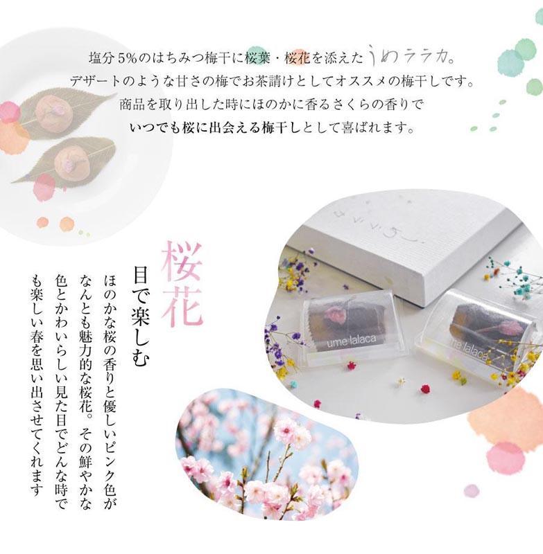 紀州南高梅 うめララカ 桜葉と桜花を添えて【ギフト 化粧箱入り 贈答用】