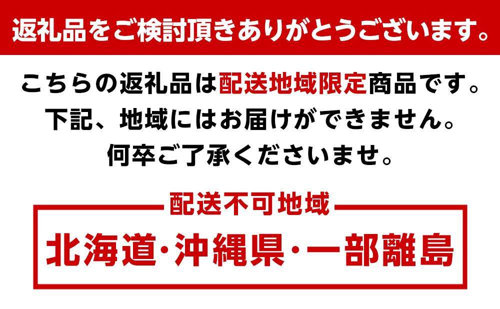 南紀白浜産ブルーベリー　400g