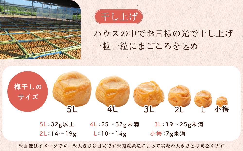 まこごろ梅 はちみつ味 5Lサイズ 1kg