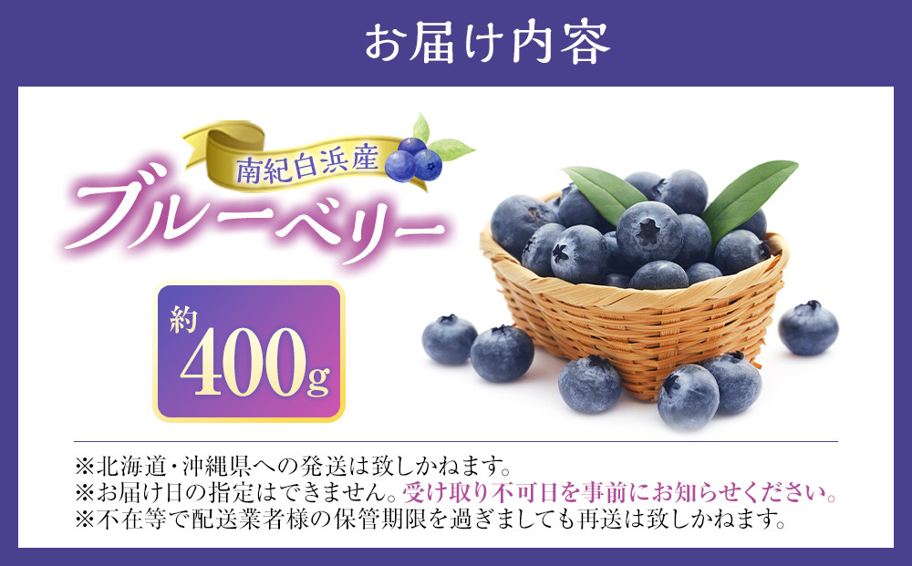 南紀白浜産ブルーベリー 約400g