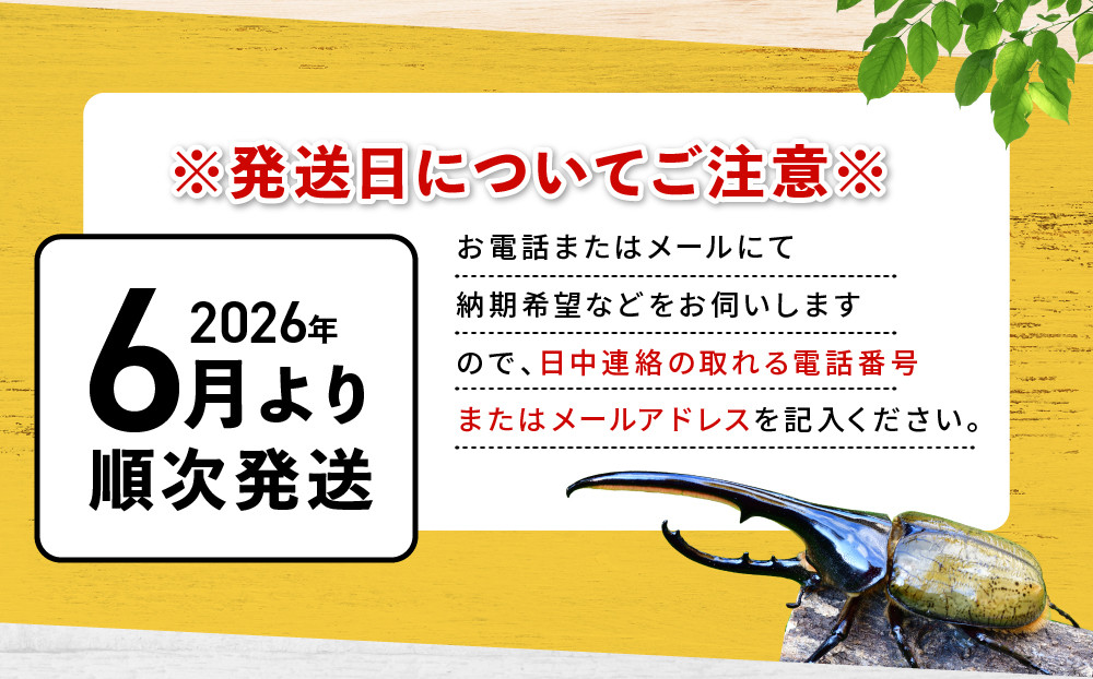 ãå
è¡äºçŽããã©ã¯ã¬ã¹ãªãªã«ãã3什幌è«ã㢠â»è²ãŠæ¹ã®èª¬ææžä»ãâ»é
éäžå¯å°åããã2026幎6æããé æ¬¡çºéã