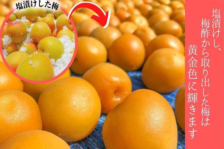 無添加  白干梅（小粒450g）紀州南高梅【梅農家厳選　手づくり梅干】