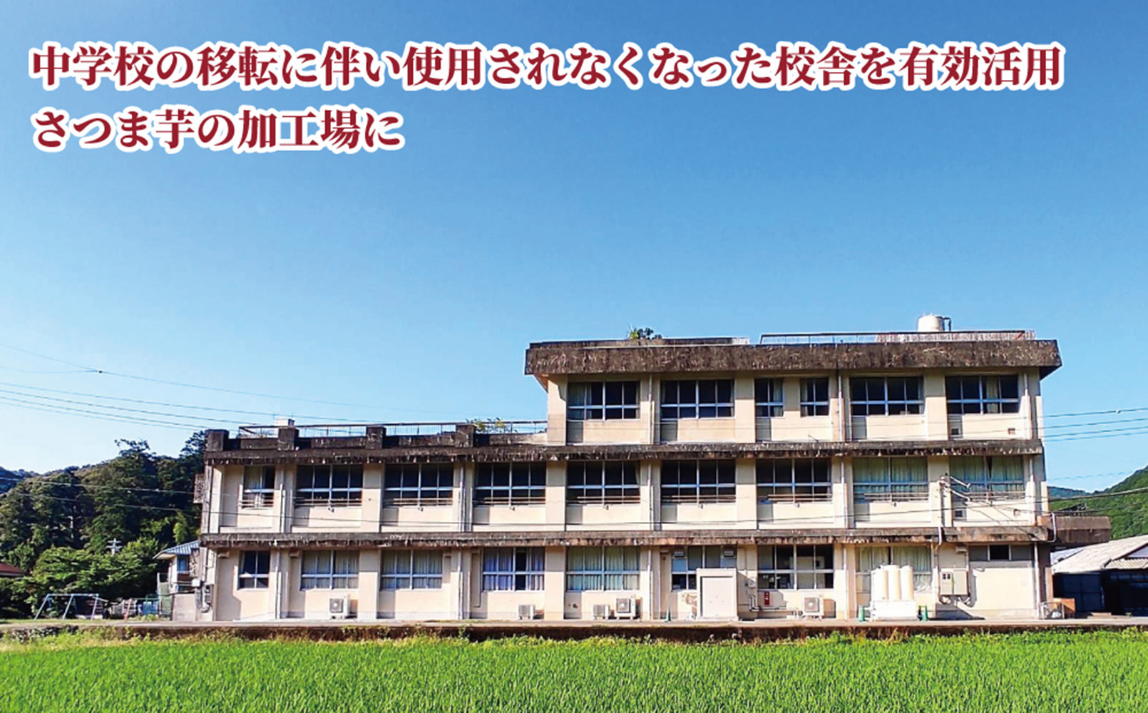 熊野紅はるかさつまいもチップス食べ比べセット