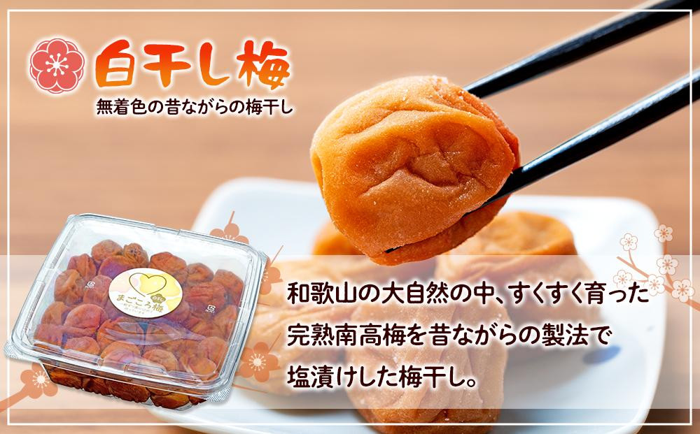 逋ス蟷イ縺玲「 2kg 蝪ゥ蛻 20シシサTR15wシス