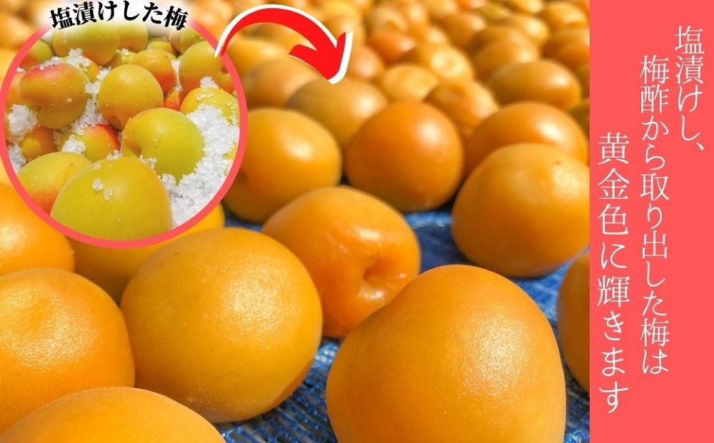 無添加　白干梅　(2L〜3Lサイズ、800g）紀州南高梅　【梅農家厳選　手づくり梅干】