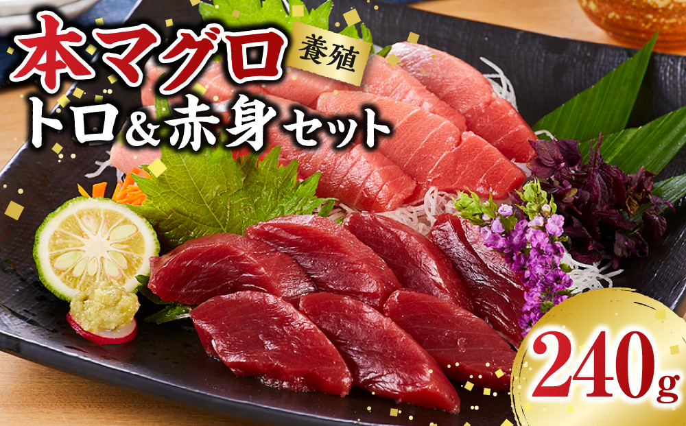 本マグロ（養殖）トロ＆赤身セット 240g［KS11］