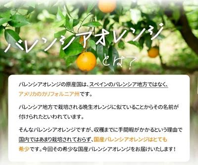 秀品 希少な国産バレンシアオレンジ 5kg【2025年6月下旬頃～2025年7月上旬頃に順次発送】【UT76】