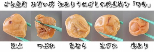 【ご家庭用】訳ありしそかつお梅干し800g 紀州うめぼし わけあり 和歌山県産 紀伊国屋文左衛門本舗