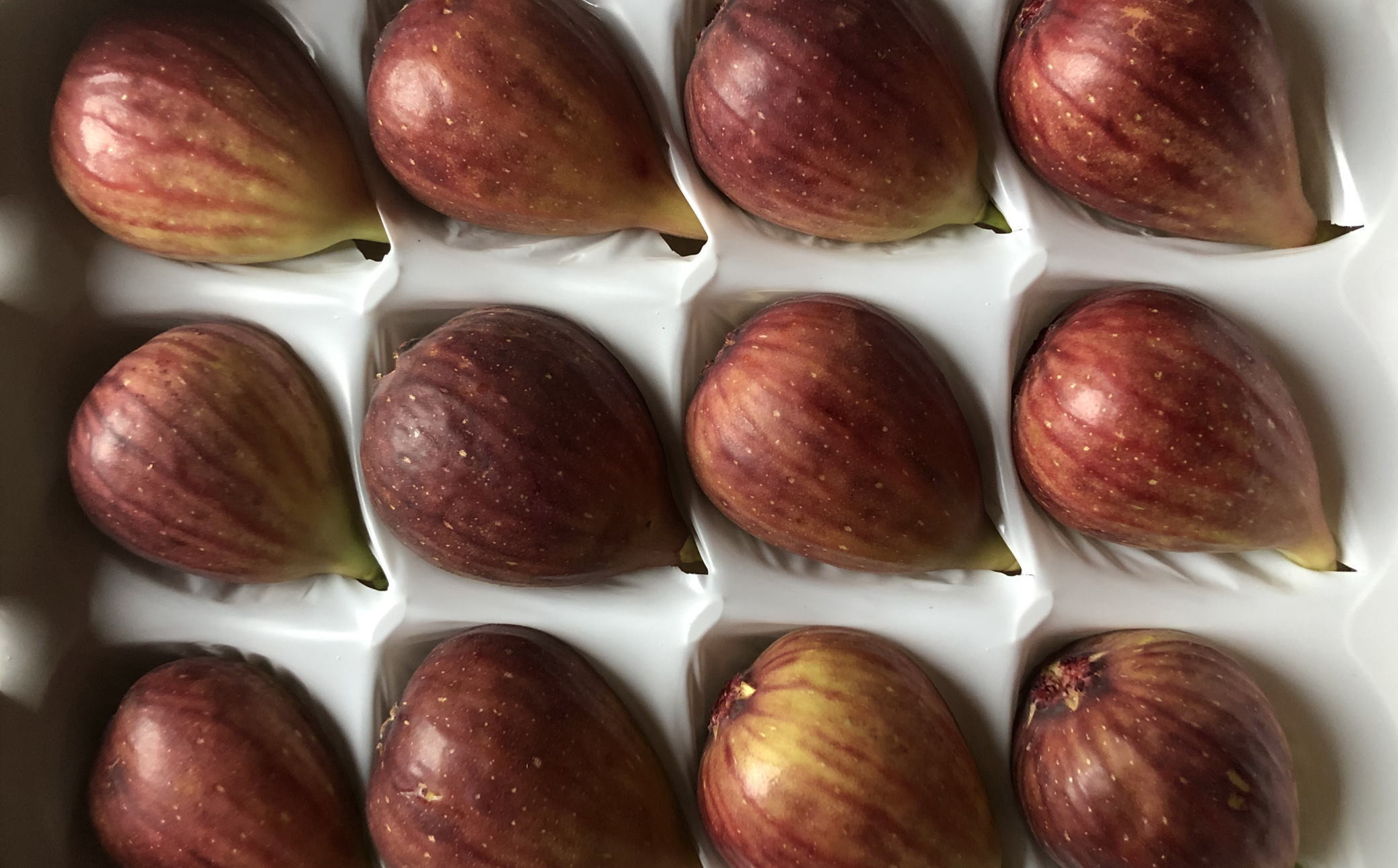 ［ハウス栽培］和歌山県産 樹上完熟 いちじく 12玉入り ★2026年8月頃より順次発送 ［TM207］