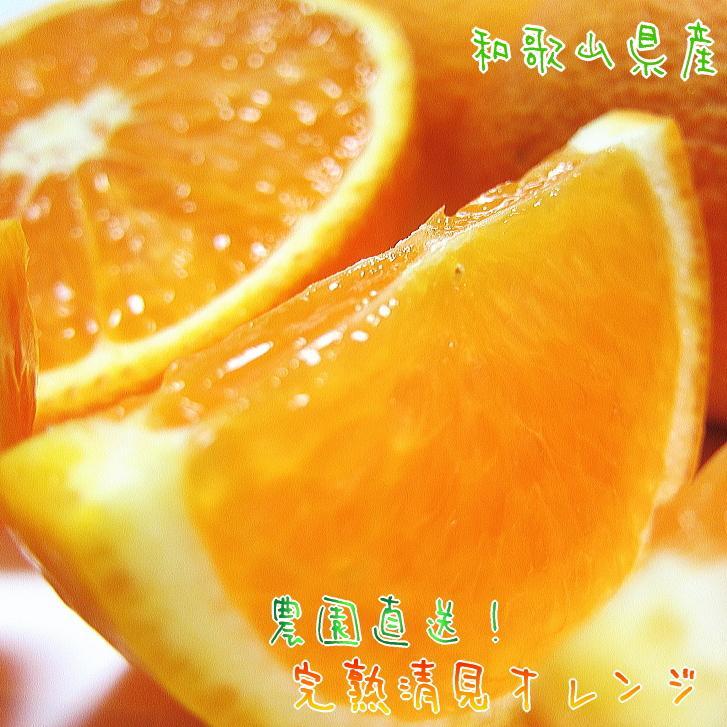 有田育ちの 完熟 清見 オレンジ (ご家庭用) 約3kg【先行予約・2025年2月～発送】【MS32】