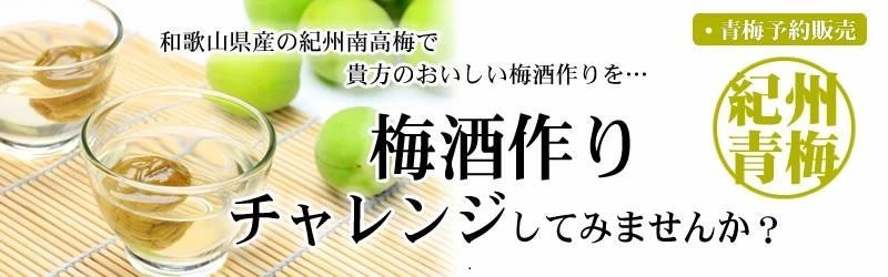 3kg 【緑】大サイズ 南高梅 梅酒用 フレッシュ青梅（生梅）／紀伊国屋文左衛門本舗