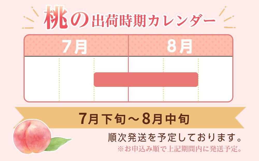 和歌山県産 川中島白桃 5〜8玉入り 秀品 先行予約［2026年7月下旬以降発送］［MG7］